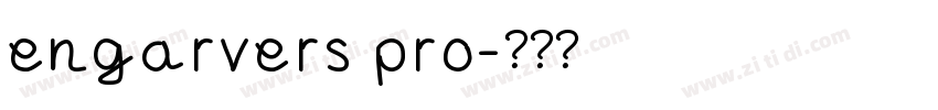 engarvers pro字体转换